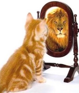 Cat-Lion-Mirror